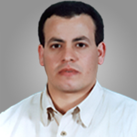 Gamal Mohamed El-Said El-Sherbiny