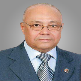 Hesham Ahmed Fathey Mohamed El-Sayed