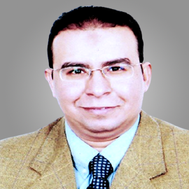 Alaa El- Deen Mahmoud Ismail