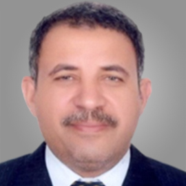 Abdel-Raheim M.A.Meki