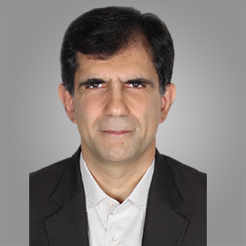 Hossein mirmiranpour 