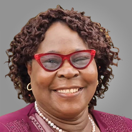 Olayinka Abimbola Olasode